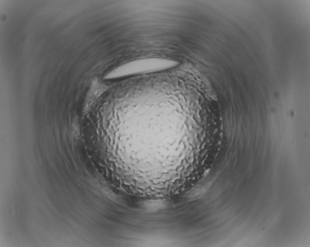 X0000076420085200610271719