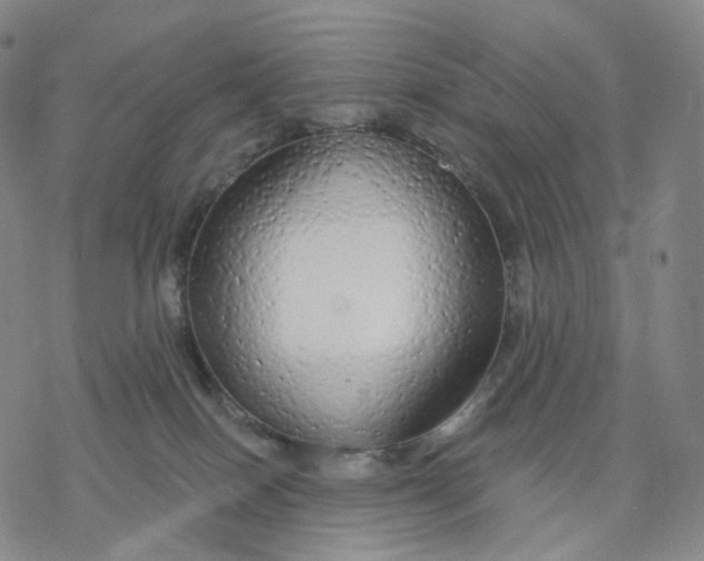 X0000076420086200610271719