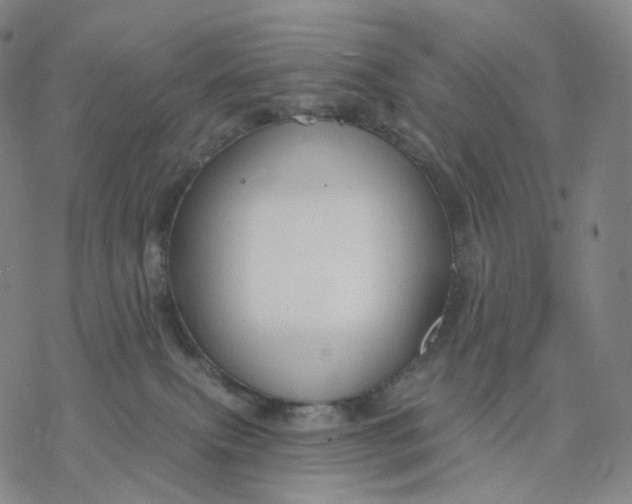 X0000076420087200610271719