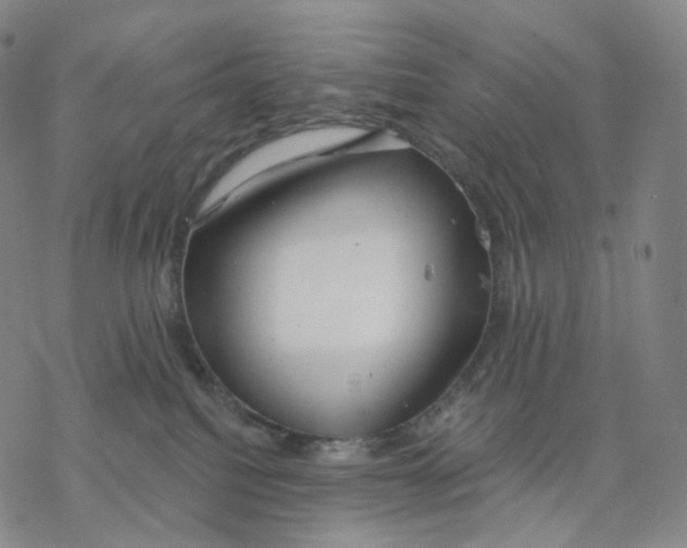 X0000076420088200610271719