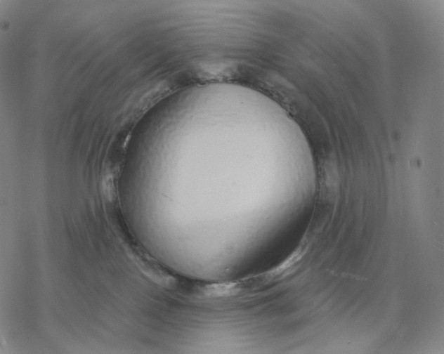 X0000076420090200610271719