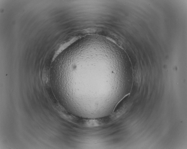 X0000076420091200610271719