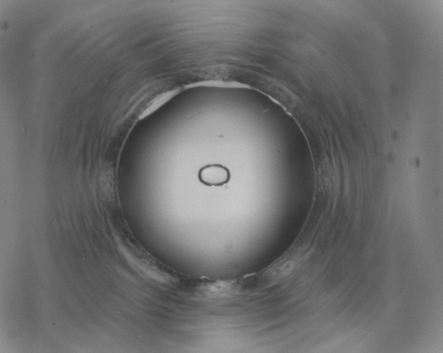 X0000076420092200610271719