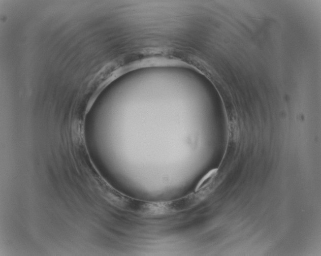 X0000076420093200610271719