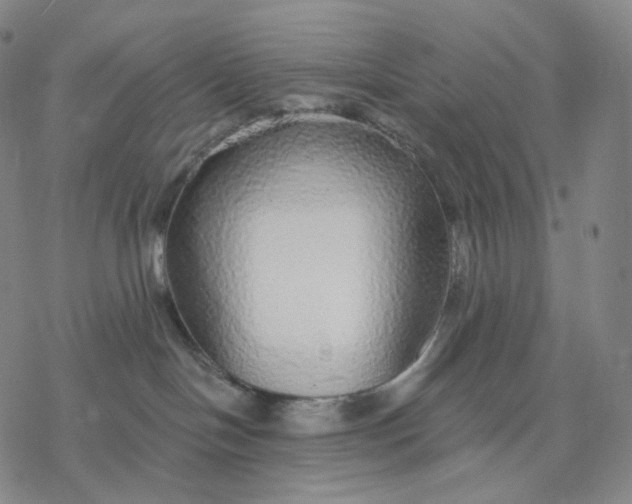 X0000076420094200610271719