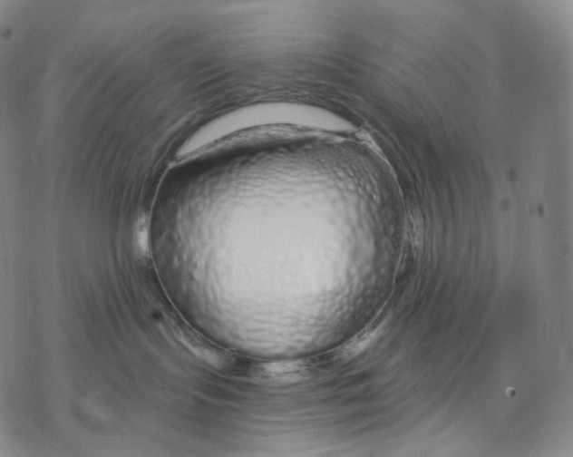 X0000076420095200610271719