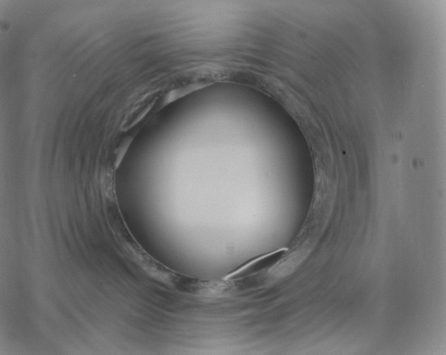 X0000076420096200610271719