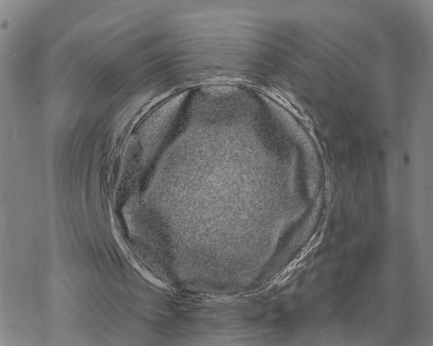 X0000076420097200610271718