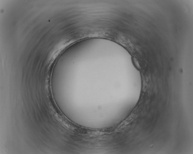 X0000076420098200610271718