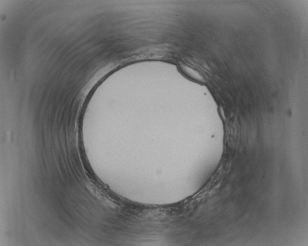 X0000076420100200610271718