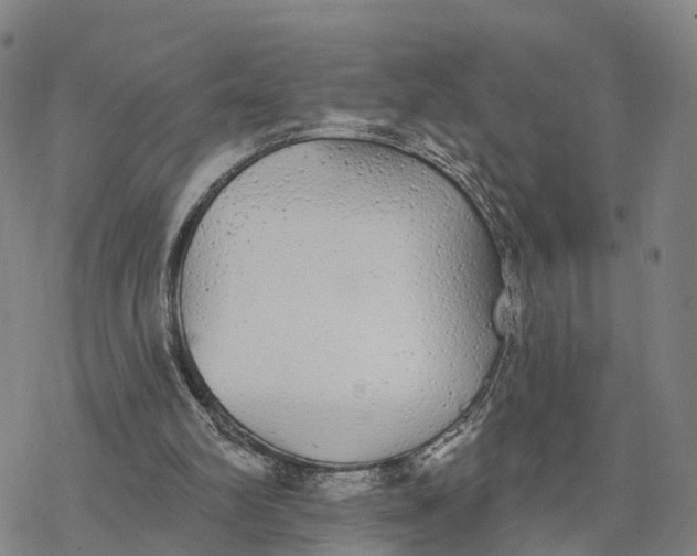 X0000076420102200610271718