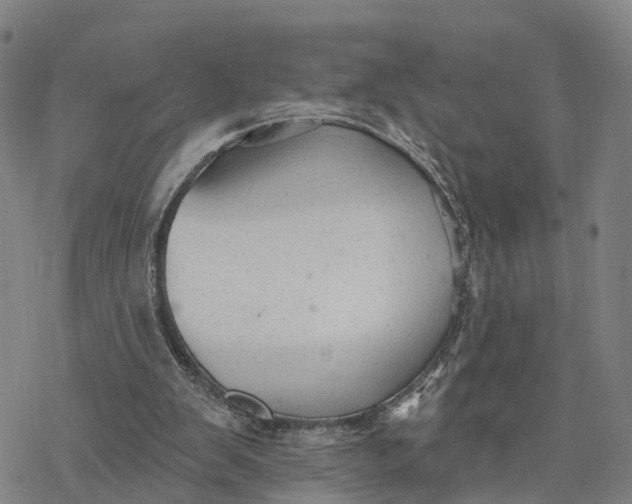 X0000076420103200610271718