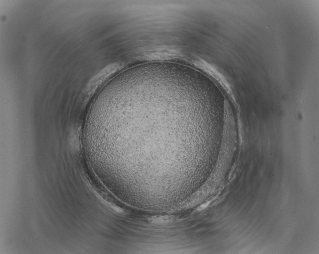 X0000076420105200610271718