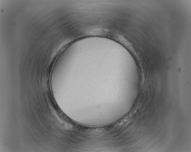 X0000076420106200610271718