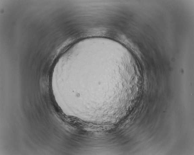 X0000076420107200610271718