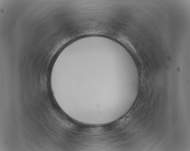 X0000076420108200610271718