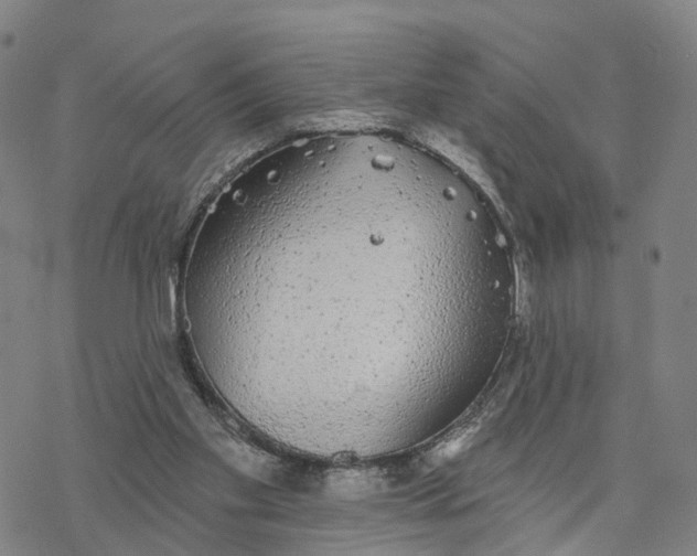 X0000076420109200610271718