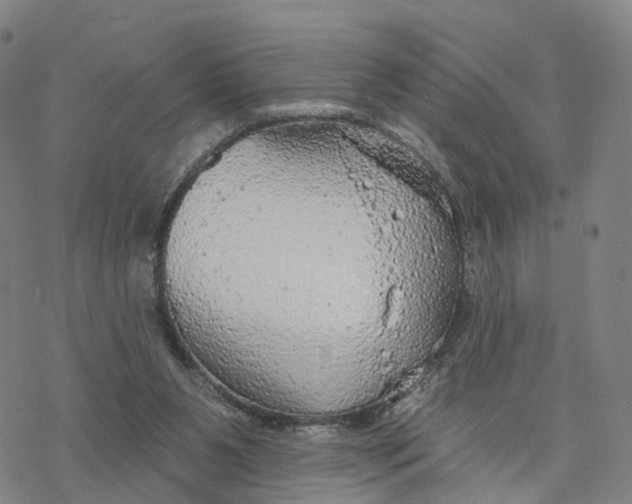 X0000076420111200610271718