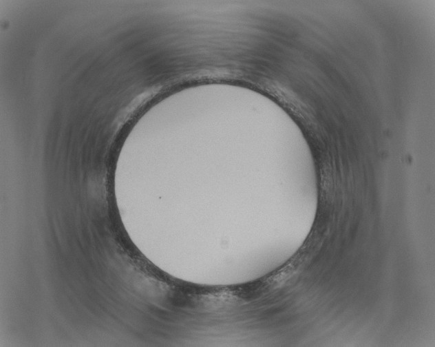 X0000076420112200610271718