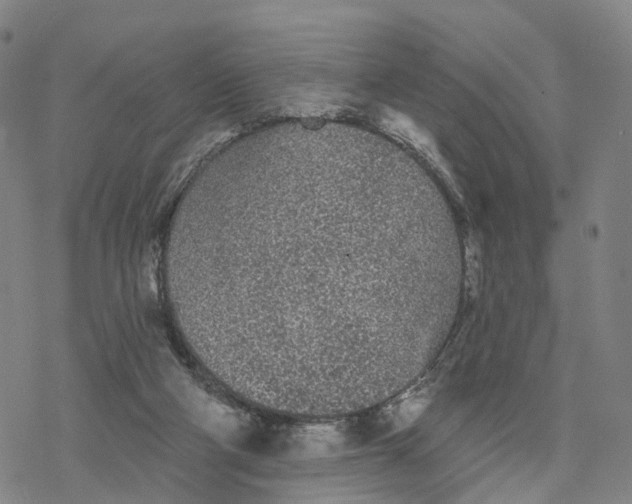 X0000076420114200610271718