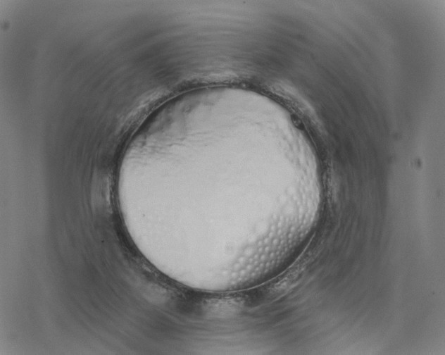 X0000076420115200610271718