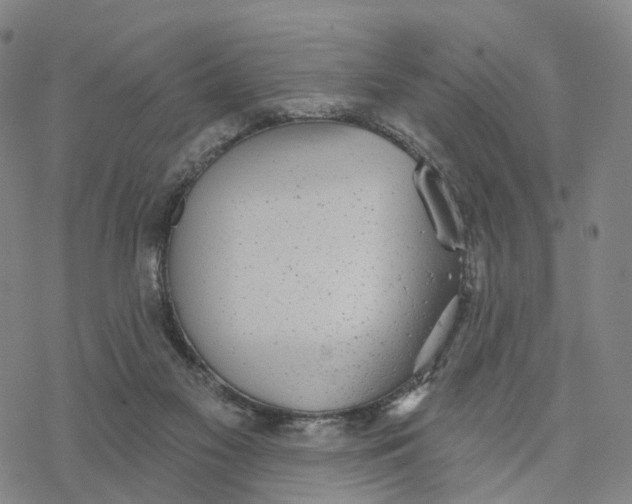 X0000076420117200610271718