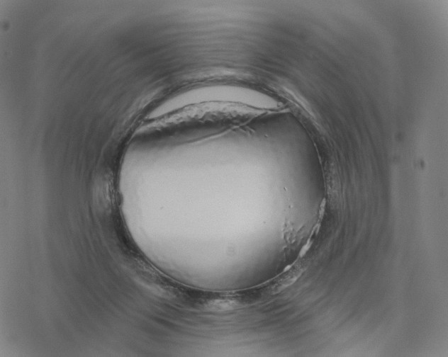 X0000076420119200610271718