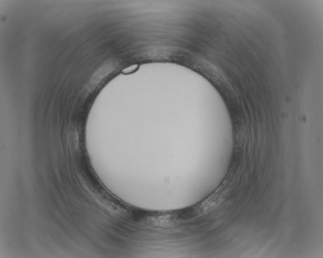 X0000076420120200610271718