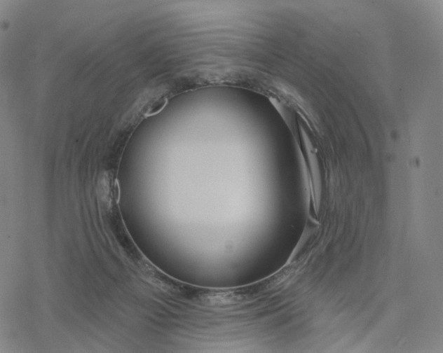 X0000076420121200610271718