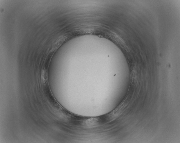 X0000076420122200610271718