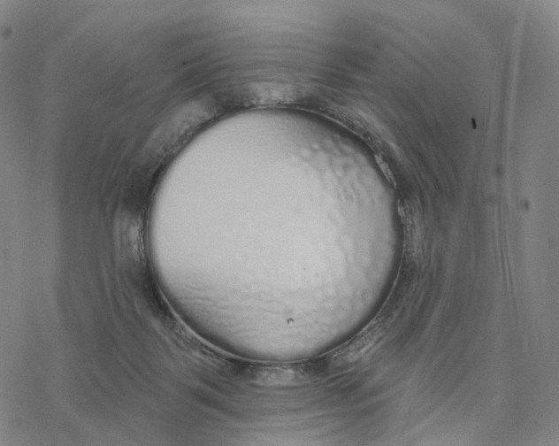 X0000076420123200610271718