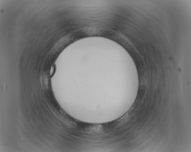 X0000076420124200610271718