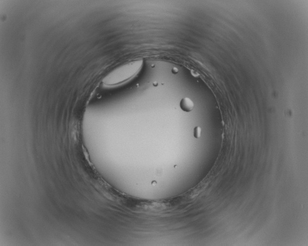 X0000076420125200610271718