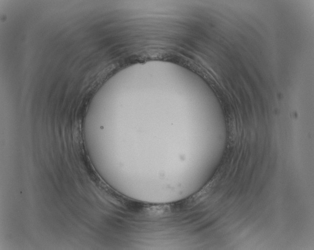 X0000076420126200610271718