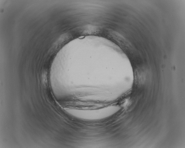 X0000076420127200610271718