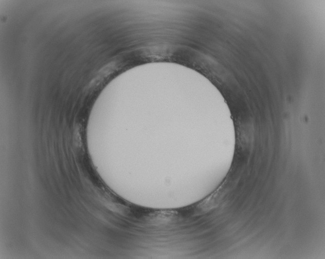 X0000076420128200610271718