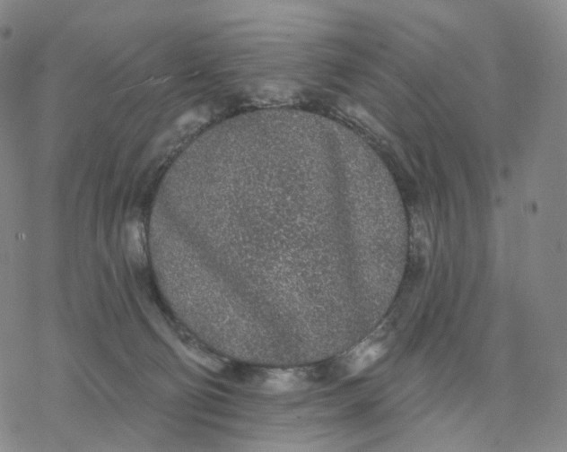 X0000076420130200610271718