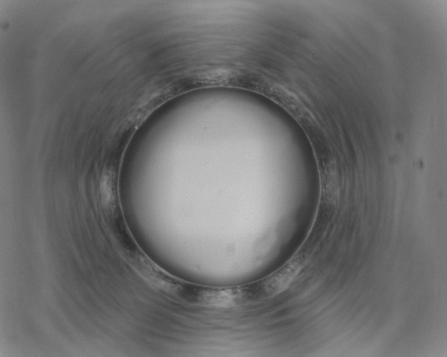 X0000076420131200610271718