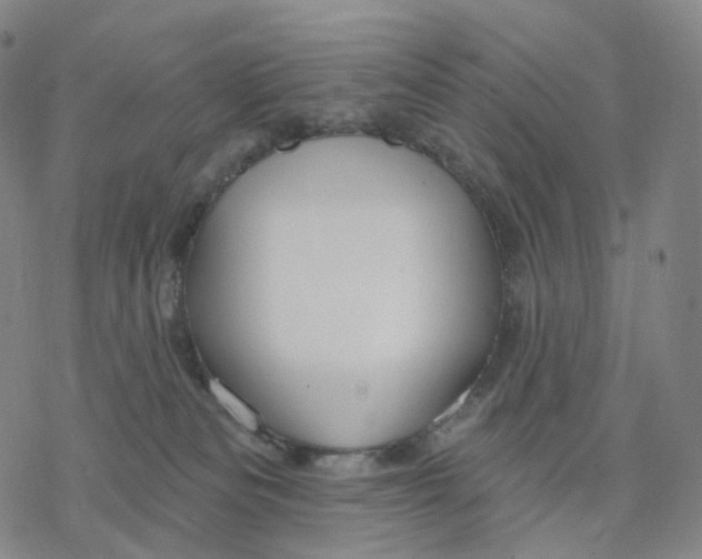 X0000076420133200610271717