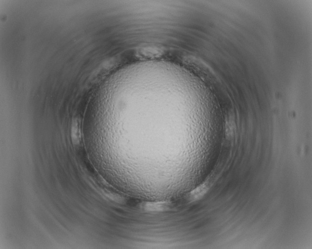 X0000076420134200610271717