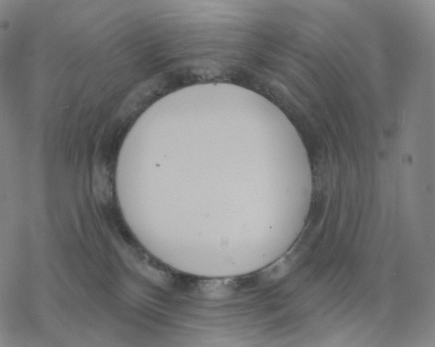 X0000076420136200610271717