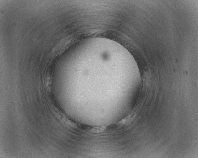 X0000076420138200610271717