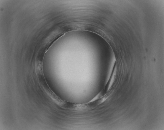 X0000076420141200610271717