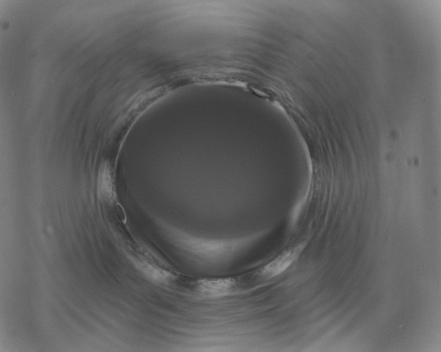 X0000076420143200610271717