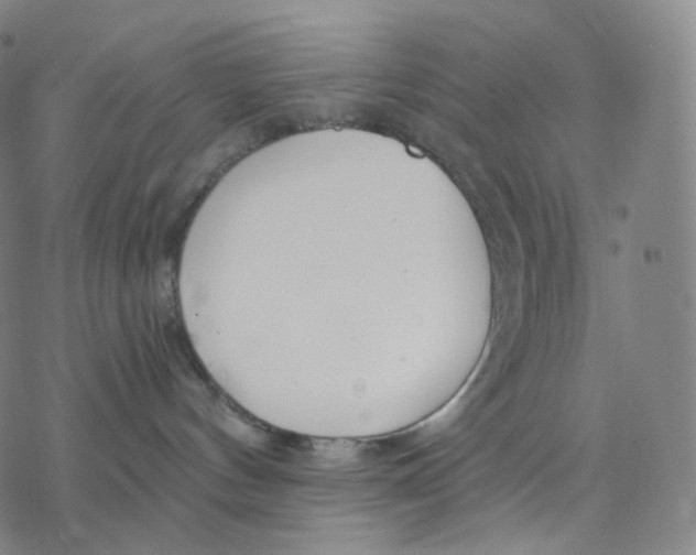 X0000076420144200610271717