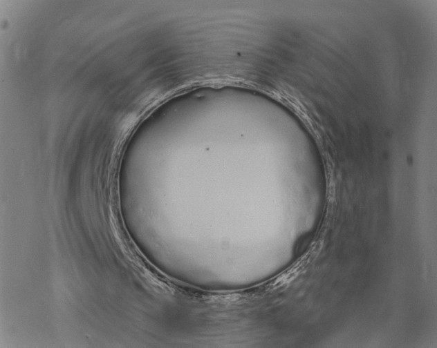 X0000076420145200610271717