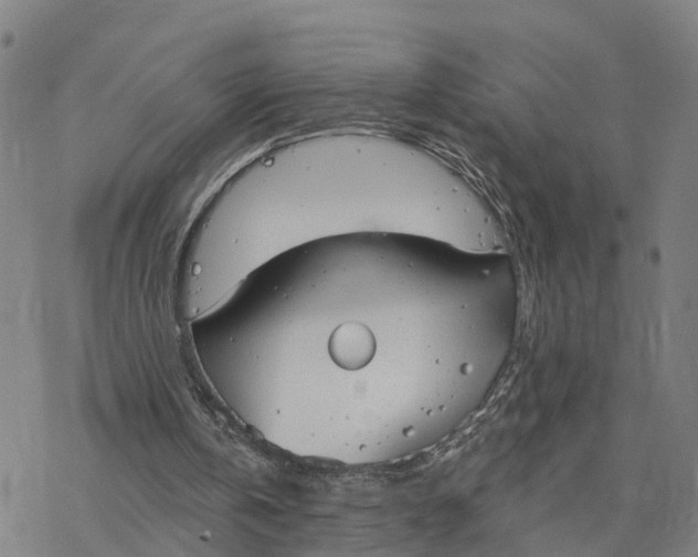 X0000076420146200610271717