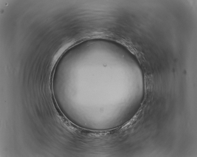 X0000076420147200610271717