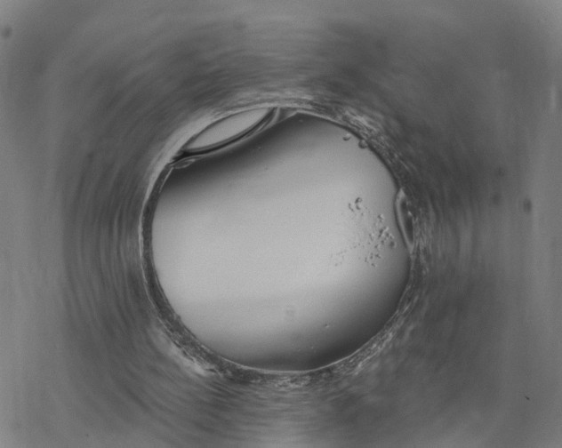 X0000076420148200610271717