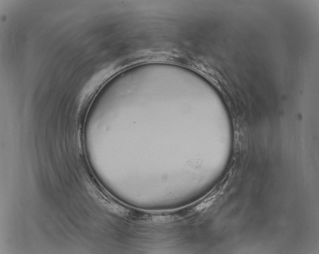 X0000076420149200610271717